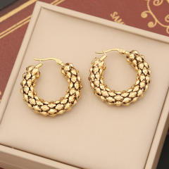 Chunky stainless steel hoop earrings