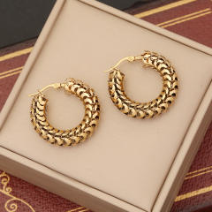 Chunky stainless steel hoop earrings