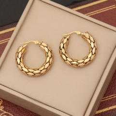 Chunky stainless steel hoop earrings