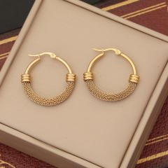 Chunky stainless steel hoop earrings