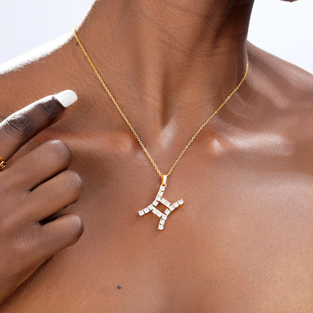 Delicate diamond zodiac copper pendant stainless steel chain necklace