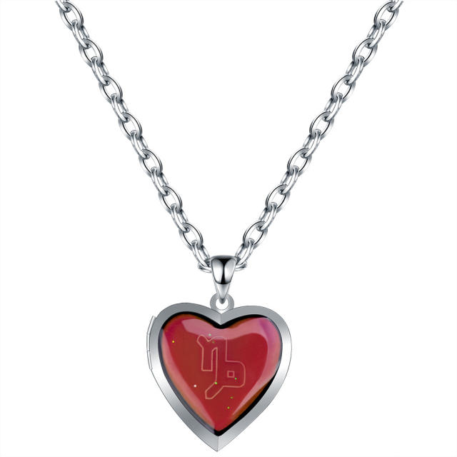 Personality color changing zodiac stainless steel chain necklace