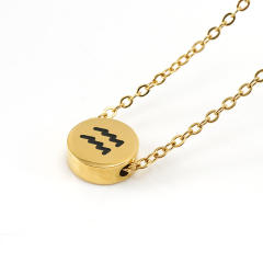 Dainty stainless steel zodiac pendant necklace