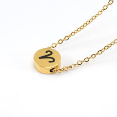 Dainty stainless steel zodiac pendant necklace
