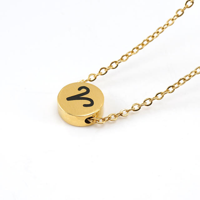 Dainty stainless steel zodiac pendant necklace