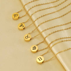 Dainty stainless steel zodiac pendant necklace