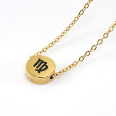 Dainty stainless steel zodiac pendant necklace