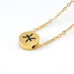 Dainty stainless steel zodiac pendant necklace