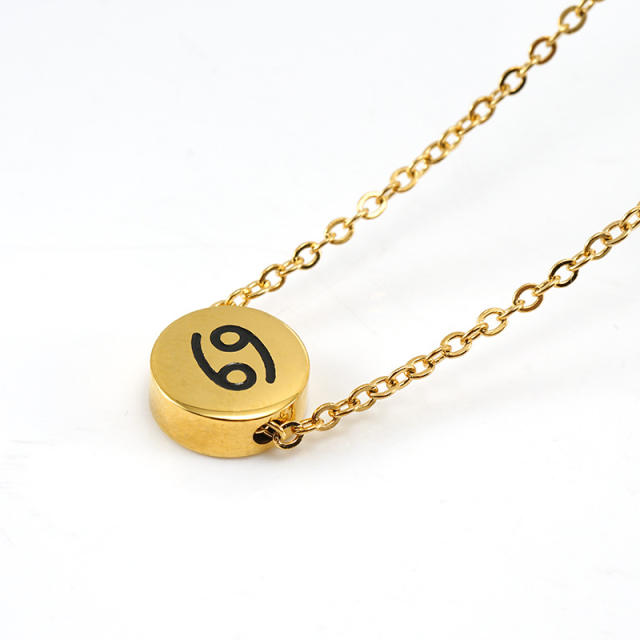 Dainty stainless steel zodiac pendant necklace