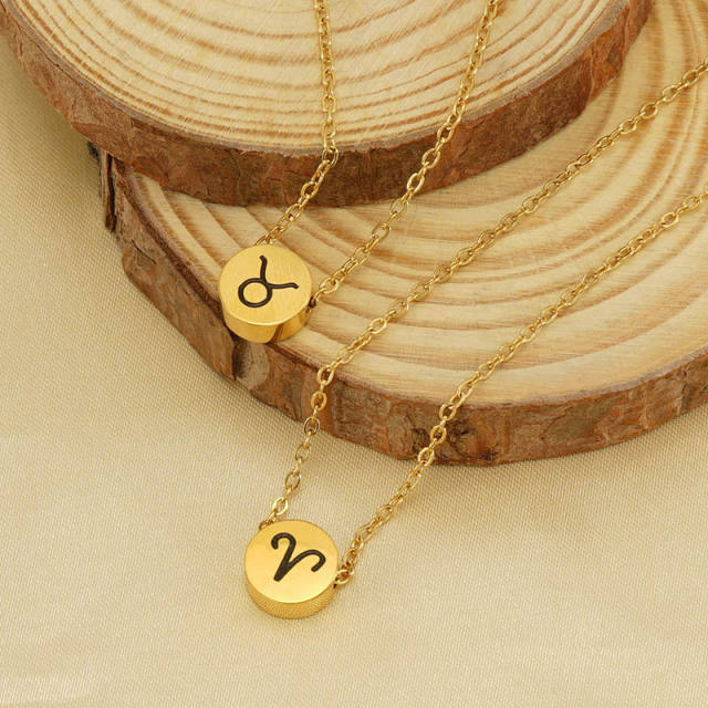 Dainty stainless steel zodiac pendant necklace