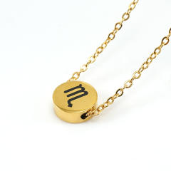 Dainty stainless steel zodiac pendant necklace