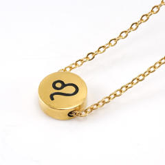 Dainty stainless steel zodiac pendant necklace