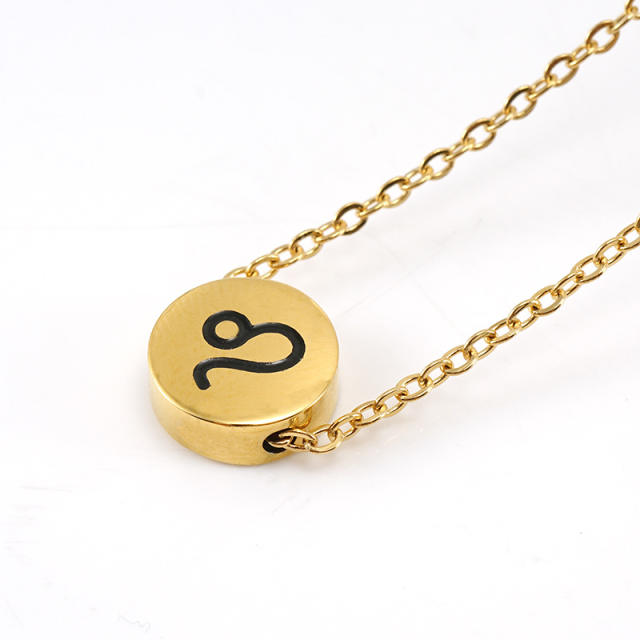 Dainty stainless steel zodiac pendant necklace