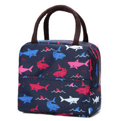 Korean fashion lunch bag