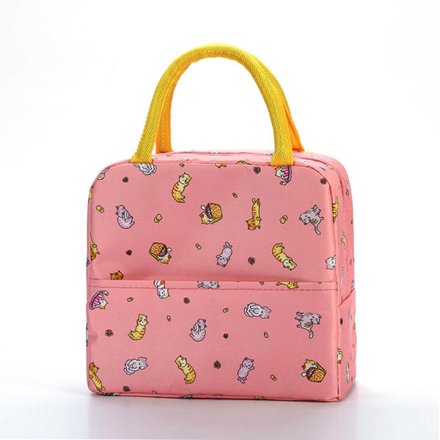 Korean fashion lunch bag