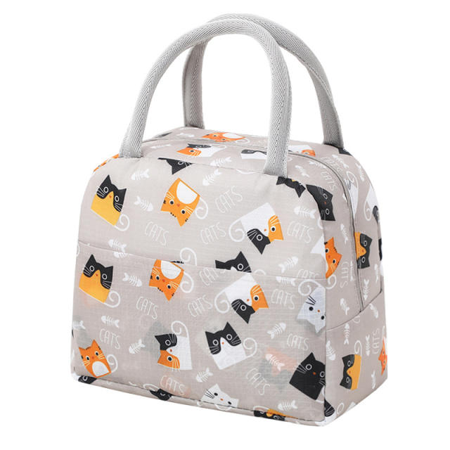 Korean fashion lunch bag