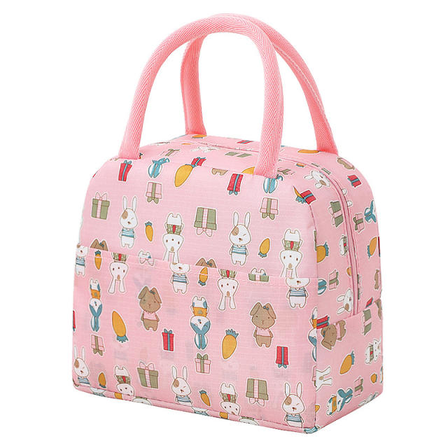 Korean fashion lunch bag