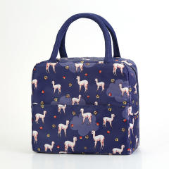 Korean fashion lunch bag