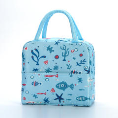 Korean fashion lunch bag
