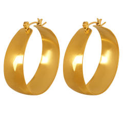 Chunky stainless steel hoop earrings