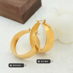 Chunky stainless steel hoop earrings
