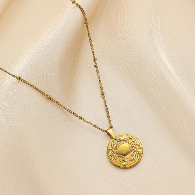 Dainty Easy match zodiac coin pendant stainless steel necklace