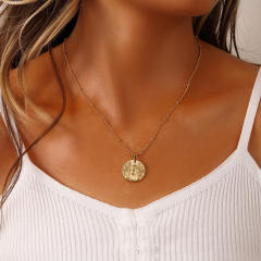 Dainty Easy match zodiac coin pendant stainless steel necklace