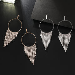 Delicate diamond tassel circle earrings
