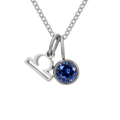 Dainty zodiac birthstone pendant stainless steel necklace