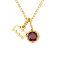 Dainty zodiac birthstone pendant stainless steel necklace