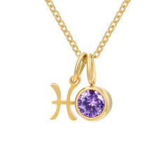 Dainty zodiac birthstone pendant stainless steel necklace