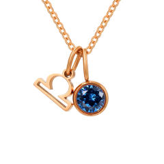Dainty zodiac birthstone pendant stainless steel necklace