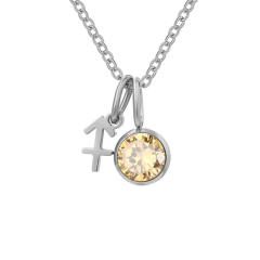 Dainty zodiac birthstone pendant stainless steel necklace