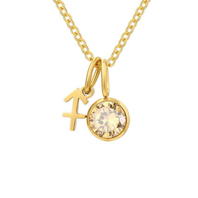 Dainty zodiac birthstone pendant stainless steel necklace