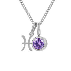 Dainty zodiac birthstone pendant stainless steel necklace