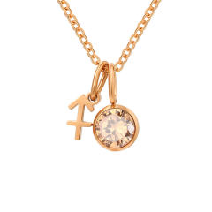 Dainty zodiac birthstone pendant stainless steel necklace