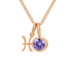 Dainty zodiac birthstone pendant stainless steel necklace