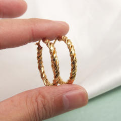 Easy match twisted hoop stainless steel earrings