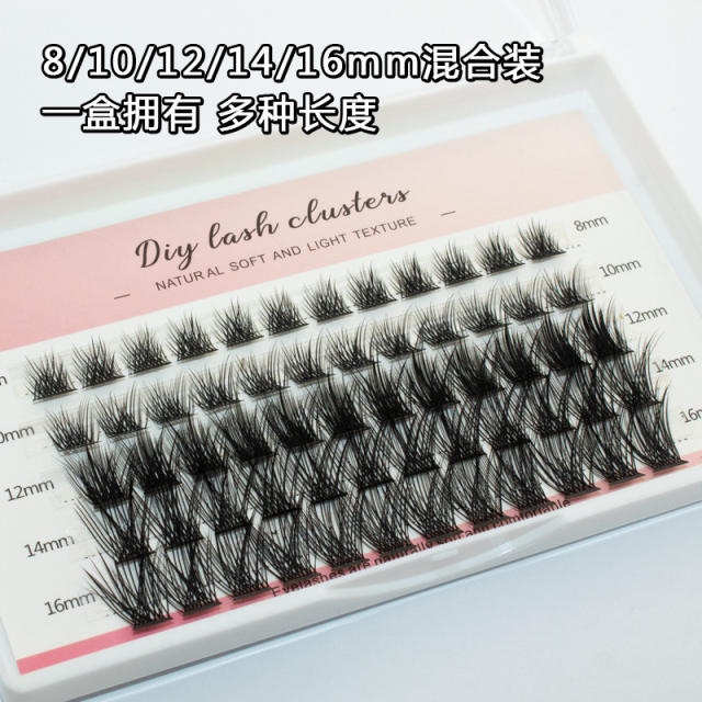 5 Row DIY eyelashes set for women