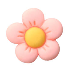 Sweet resin flower shoes charms for crocs
