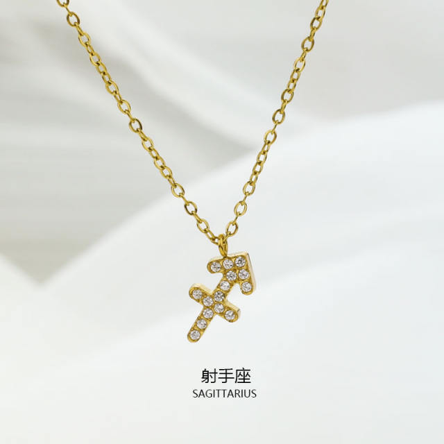 Dainty diamond zodiac pendant stainless steel necklace