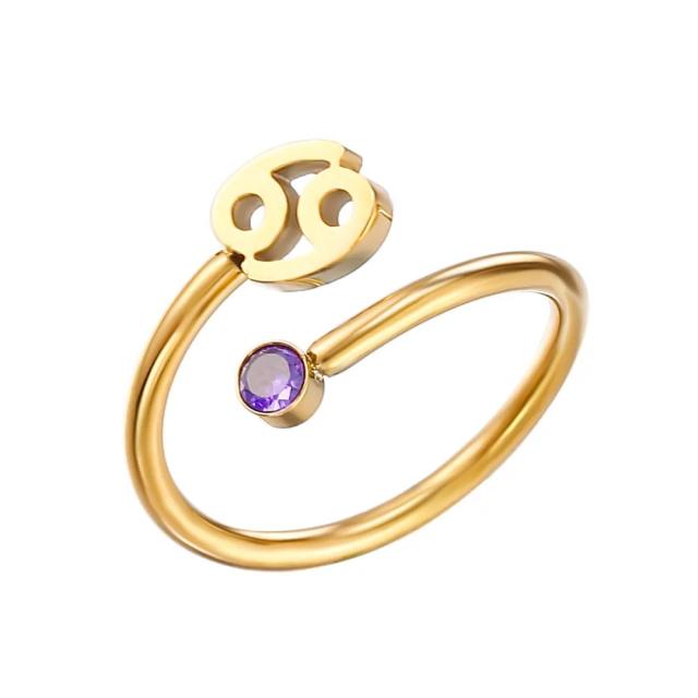INS delicate birthstone zodiac symbol stainless steel adjustable rings