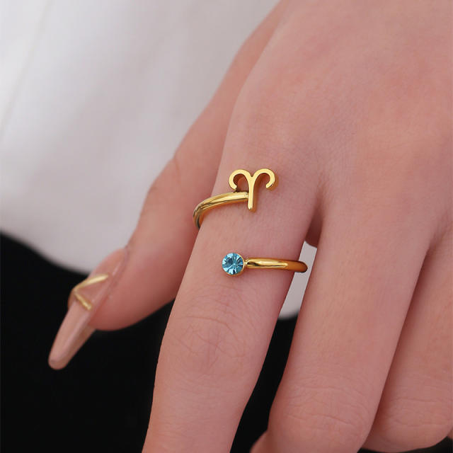 INS delicate birthstone zodiac symbol stainless steel adjustable rings