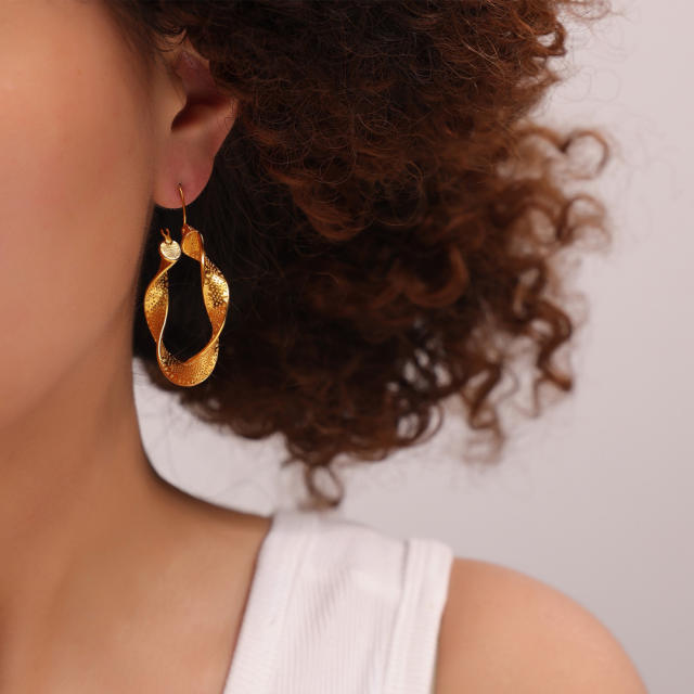 Chic twisted hoop earrings stainless steel earrings