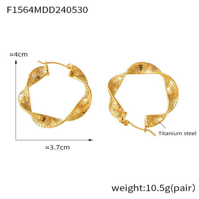 Chic twisted hoop earrings stainless steel earrings