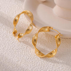 Chic twisted hoop earrings stainless steel earrings