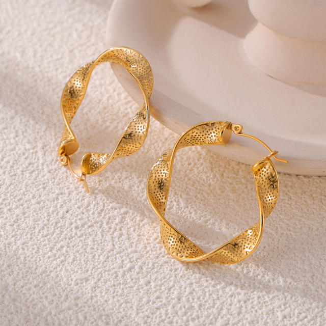 Chic twisted hoop earrings stainless steel earrings