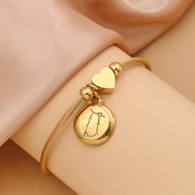 18KG stainless steel zodiac charm bangle