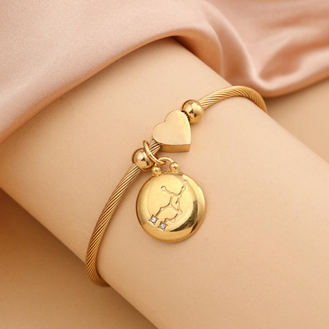 18KG stainless steel zodiac charm bangle