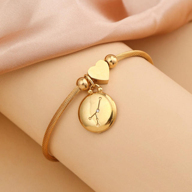 18KG stainless steel zodiac charm bangle